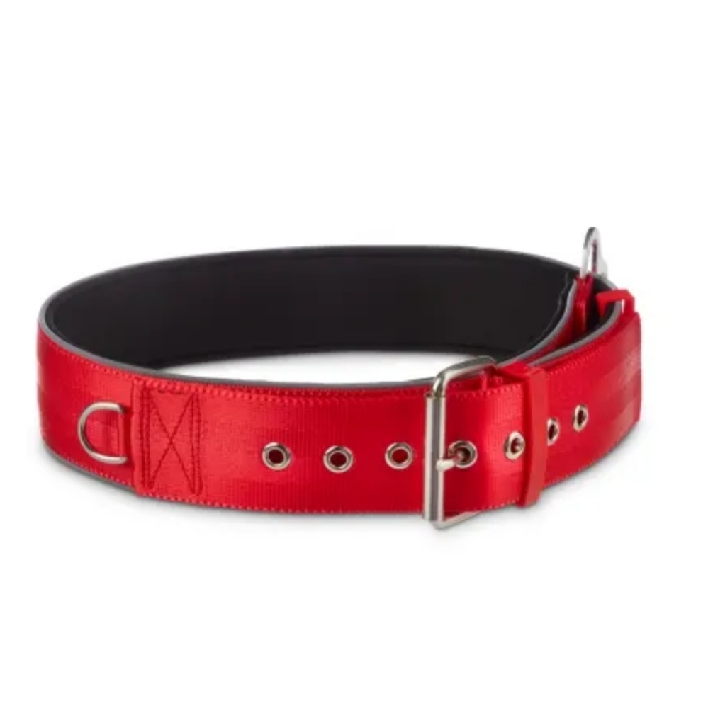 A collar for really big dogs